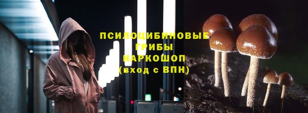 apvp Осинники