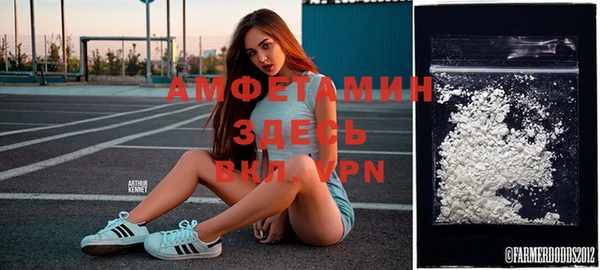 apvp Осинники