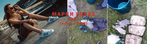apvp Осинники