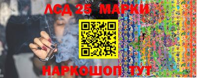 стаф Кинель
