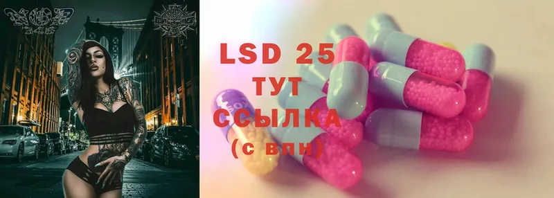 LSD-25 экстази кислота  продажа наркотиков  Курчалой 