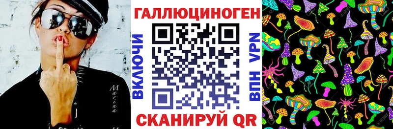 закладка  Курчалой  Галлюциногенные грибы GOLDEN TEACHER 