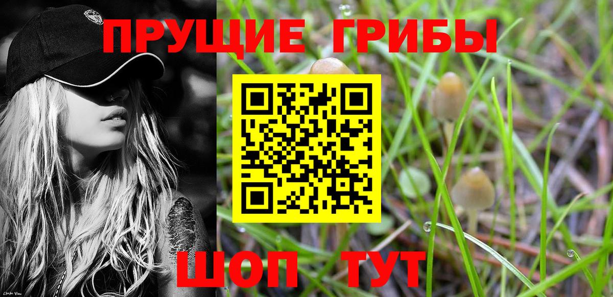 Псилоцибиновые грибы мухоморы Курчалой
