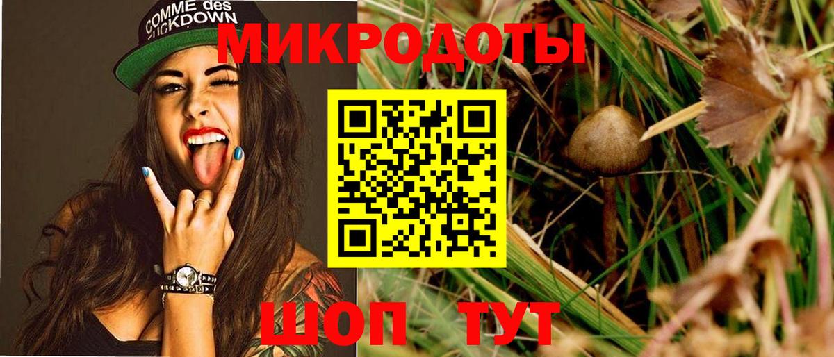Галлюциногенные грибы мухоморы  Вход с VPN  Курчалой 